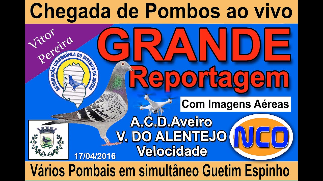 Chegada de Pombos de V. Alentejo, em Guetim Espinho  ( Velocidade )