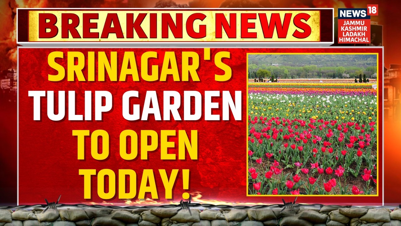 Breaking: Srinagar's Tulip Garden to open Today! | Jammu Kashmir | Asia's Largest Tulip Festival