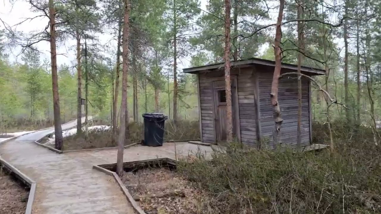 Early Spring in Paukaneva Nature Reserve