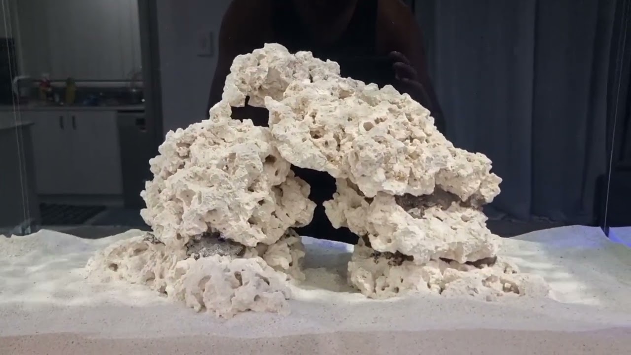 Day 20 of the cycle - adding more ammonia for a thorough cycle and more robust  reef aquarium