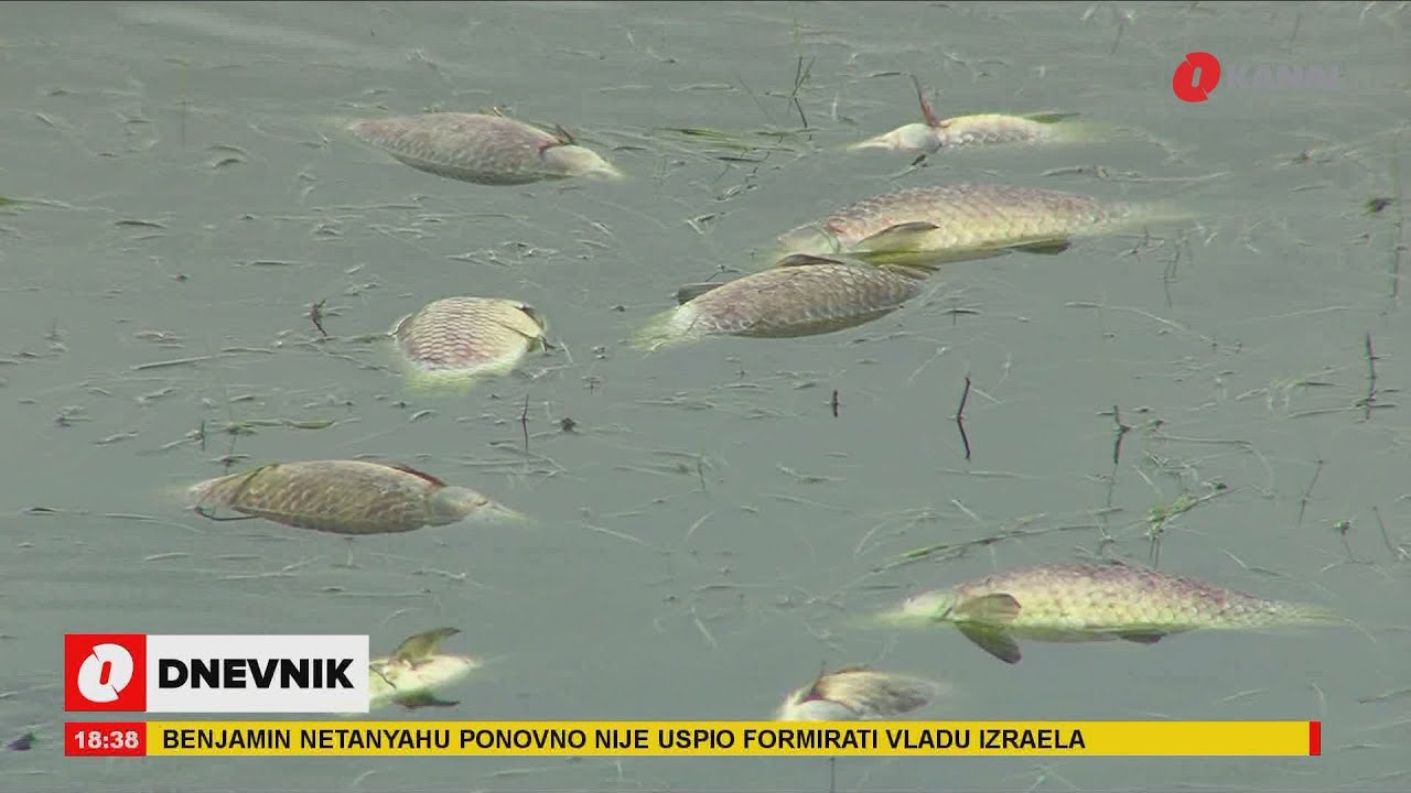 Ekološka katastrofa na Buškom jezeru: Osjeti se neugodan miris