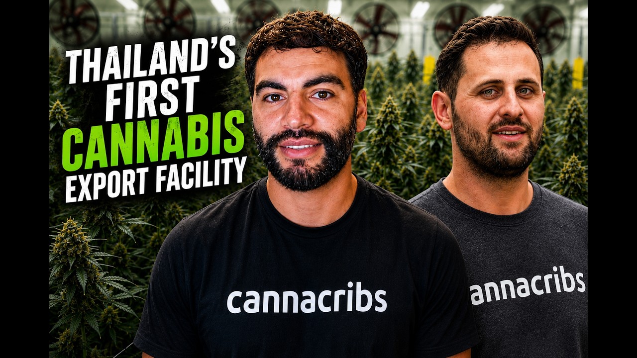 How We Built Thailand’s First Cannabis Export Facility | CannaCribs Consulting