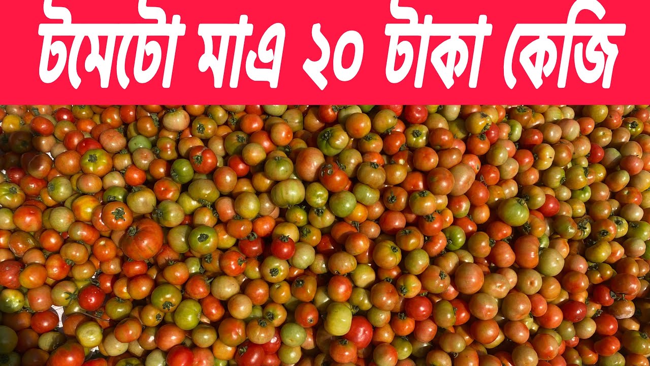 রমজানের আগে শীতের সকল সবজীর বাজার দর সহনীয়ই রয়েছে