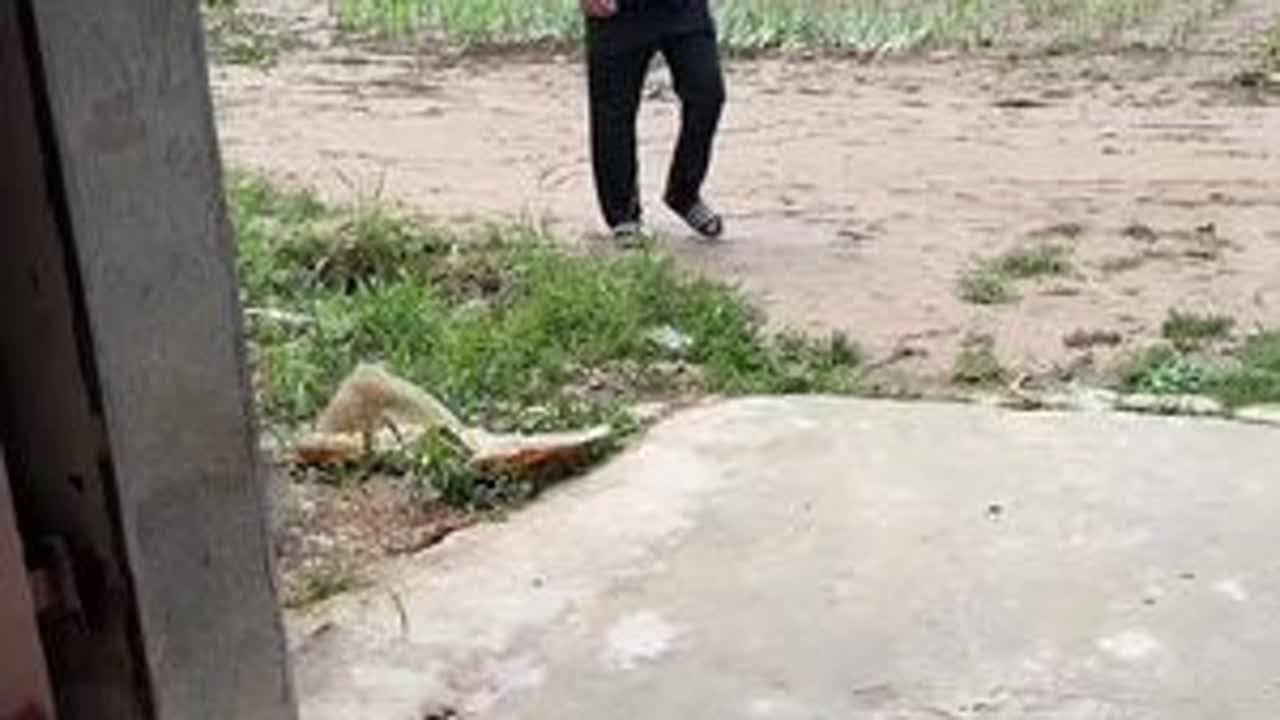 离家出走在外面，不能看见长生受一点委屈#正能量 #我要上热们 #我的乡村生活