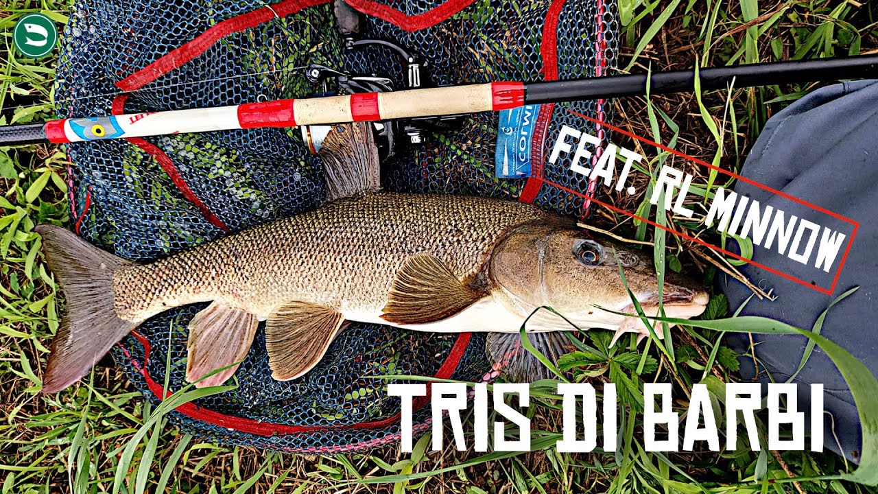 TRIS di Grossi BARBI a FOSS FISHING (Feat. RL MINNOW)