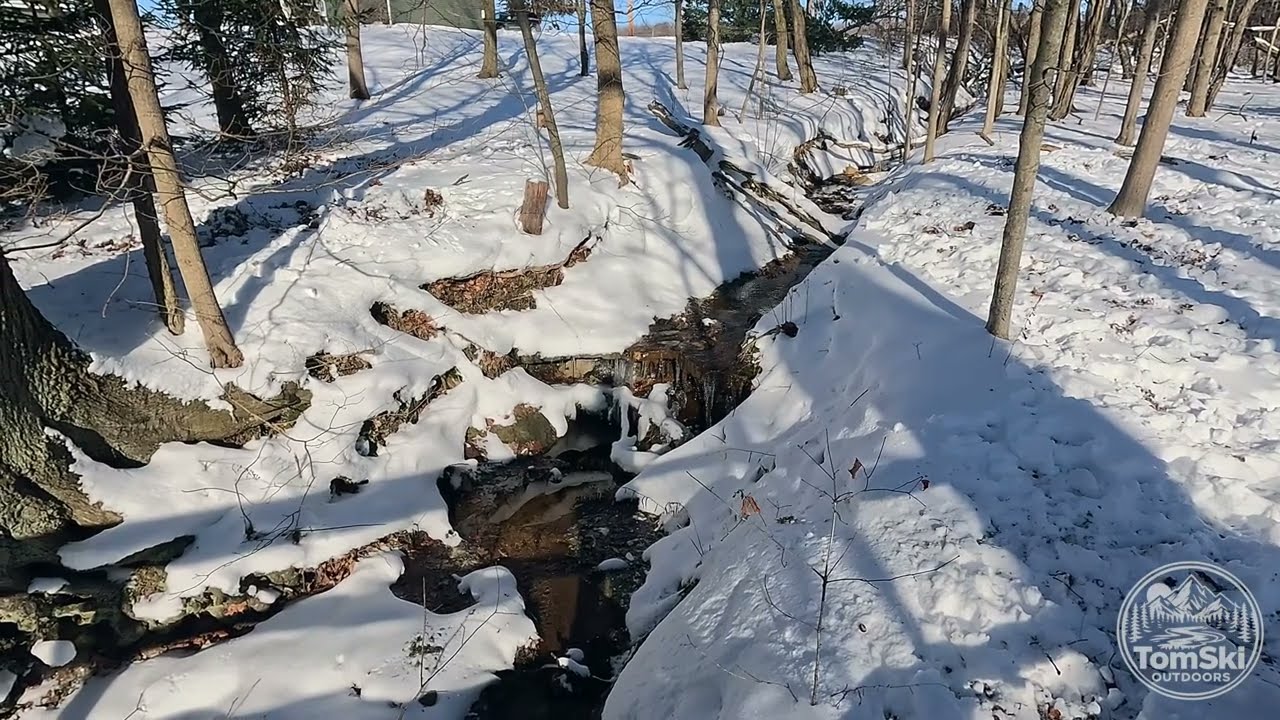 4K Trail POV - Sunny Sunday at Riverview