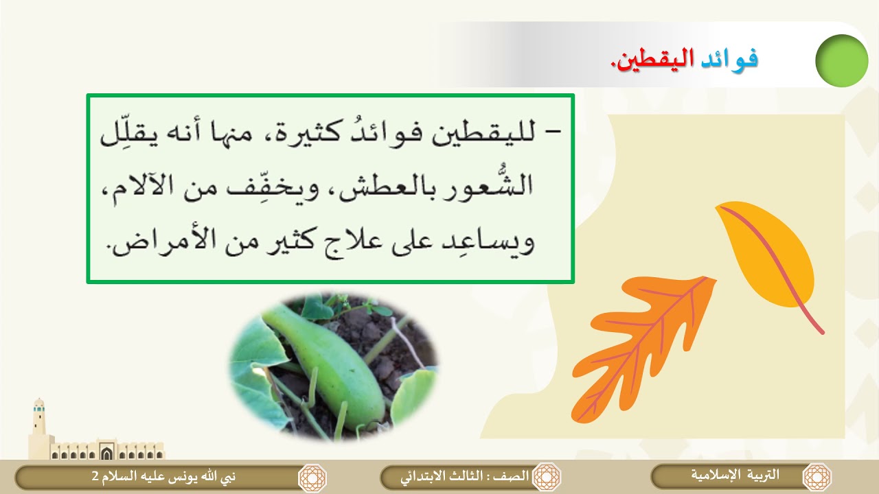 الصف الثالث   التربية الإسلامية   نبي الله يونس عليه السلام  ج2