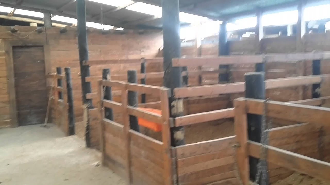 2 caballerizas de 16 boxes en Vista Linda
