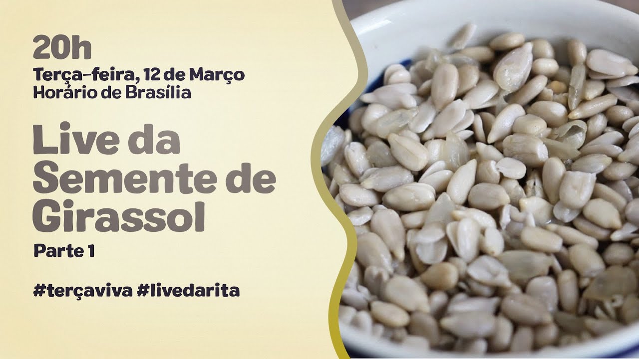 Live da Semente de Girassol | #livedarita #terçaviva