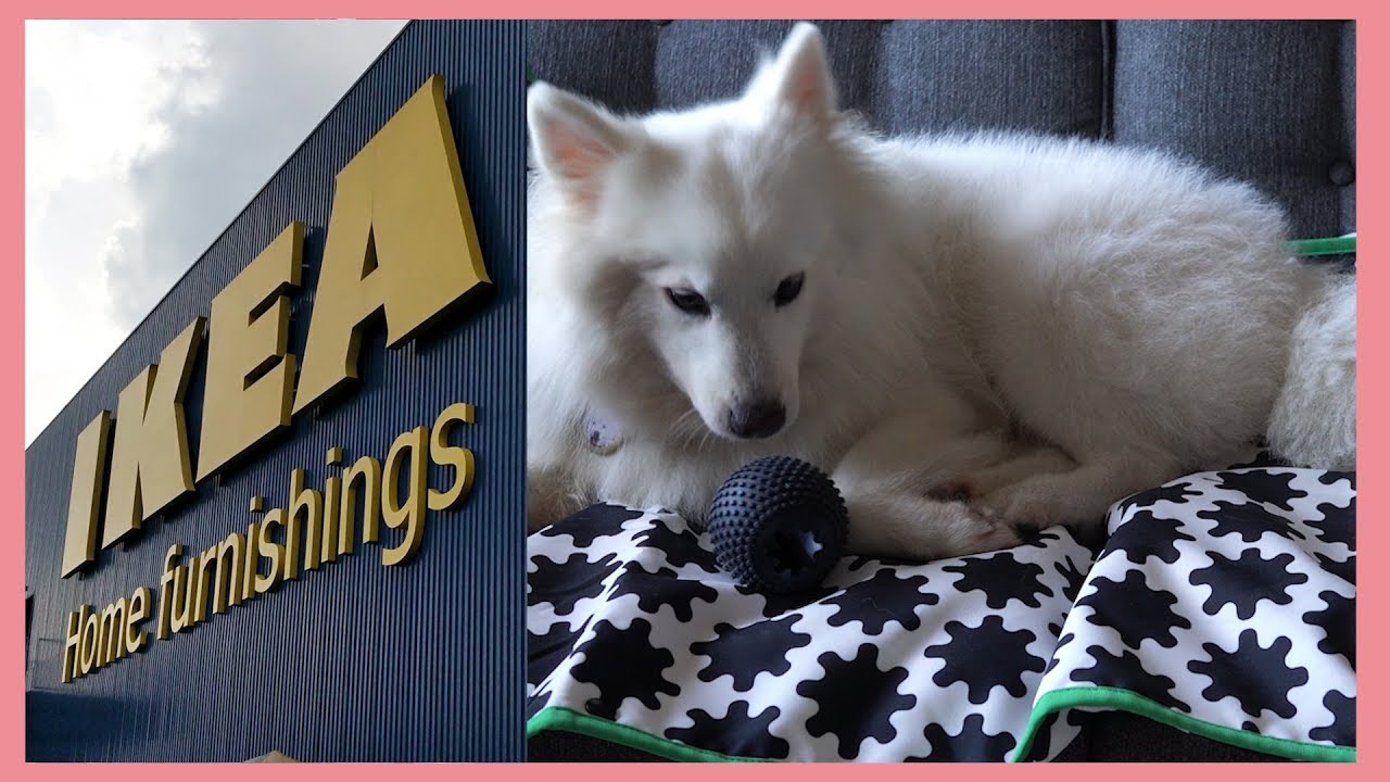 IKEA Dog / Cat Furniture - Lurvig | First Impressions