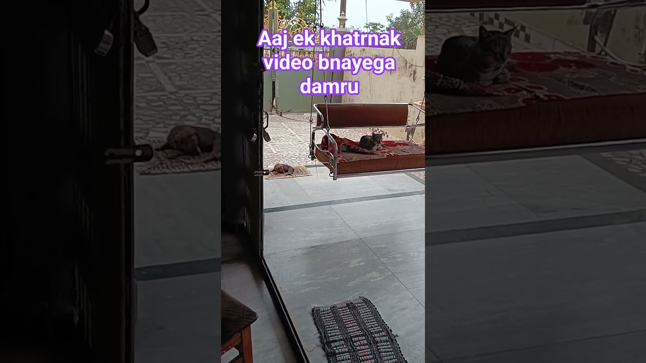 damru video bnayega 😂😜😂#comedy