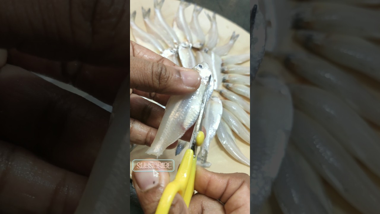 How to clean Anchovies like a pro#shorts#shortsfeed#anchovy#seafood#fishcutting#shortsfeedindia