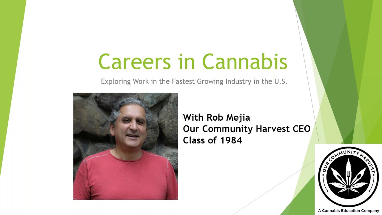 Careers in Cannabis: Exploring Work in the Fastest Growing Industry in the U.S.