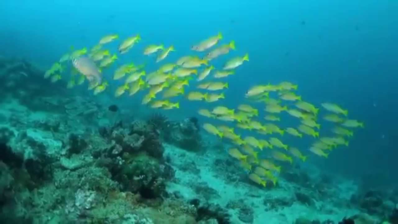 Diving Into the Twilight Zone