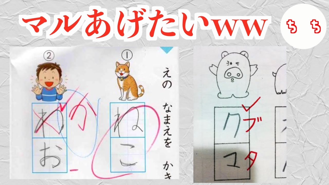 テストの柔軟な回答がマルをあげたいww