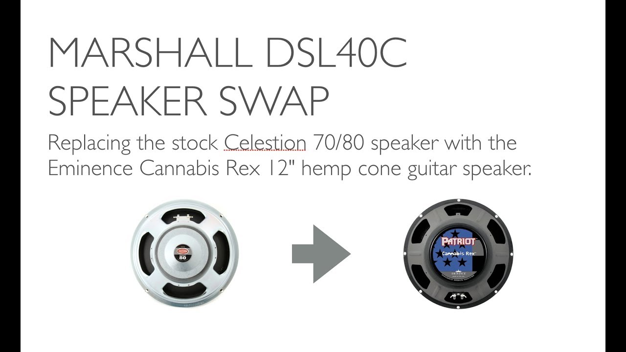 Speaker Swap | Marshall DSL40C