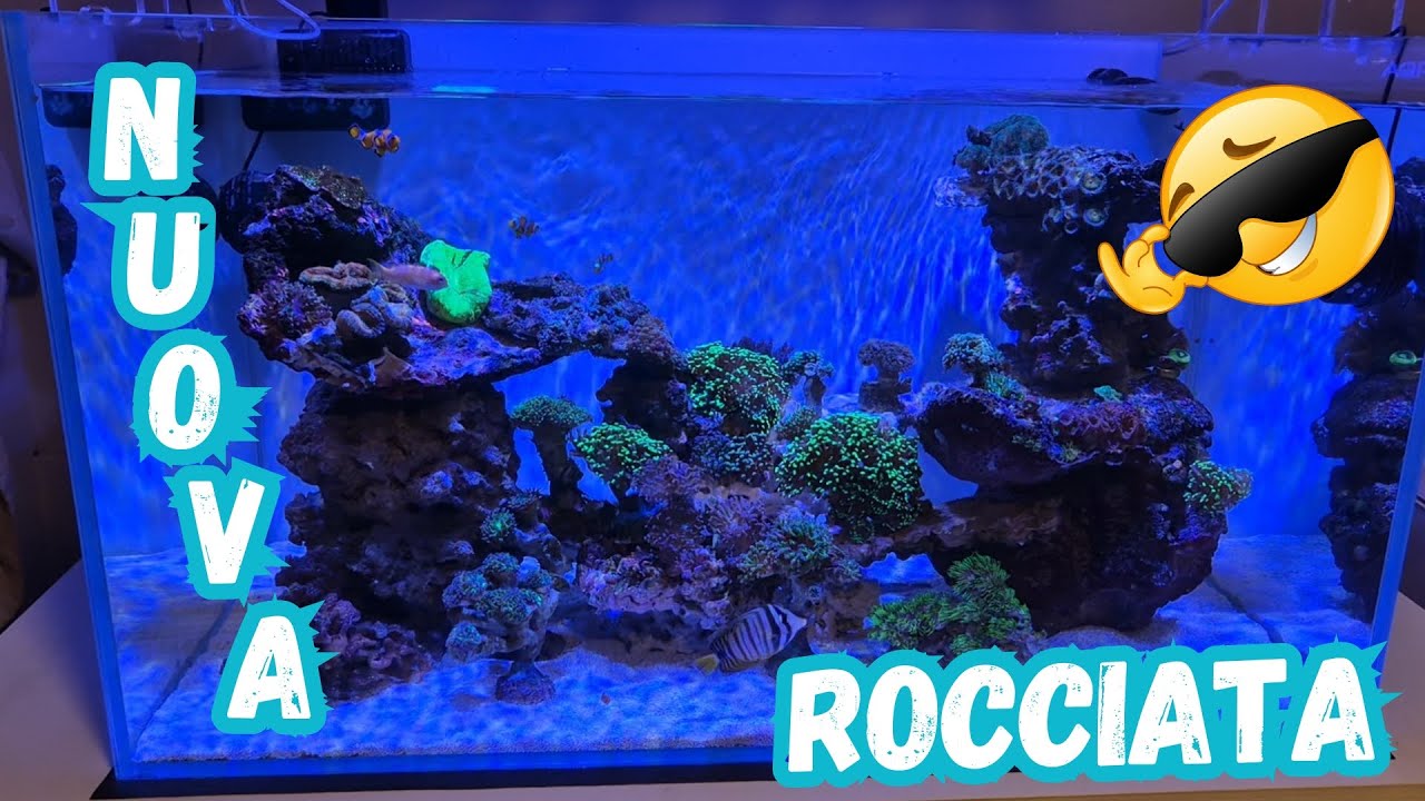 ACQUARIO MARINO - NUOVA ROCCIATA