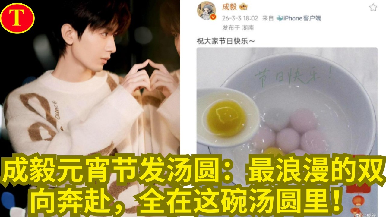 成毅元宵节发汤圆：最浪漫的双向奔赴，全在这碗汤圆里！