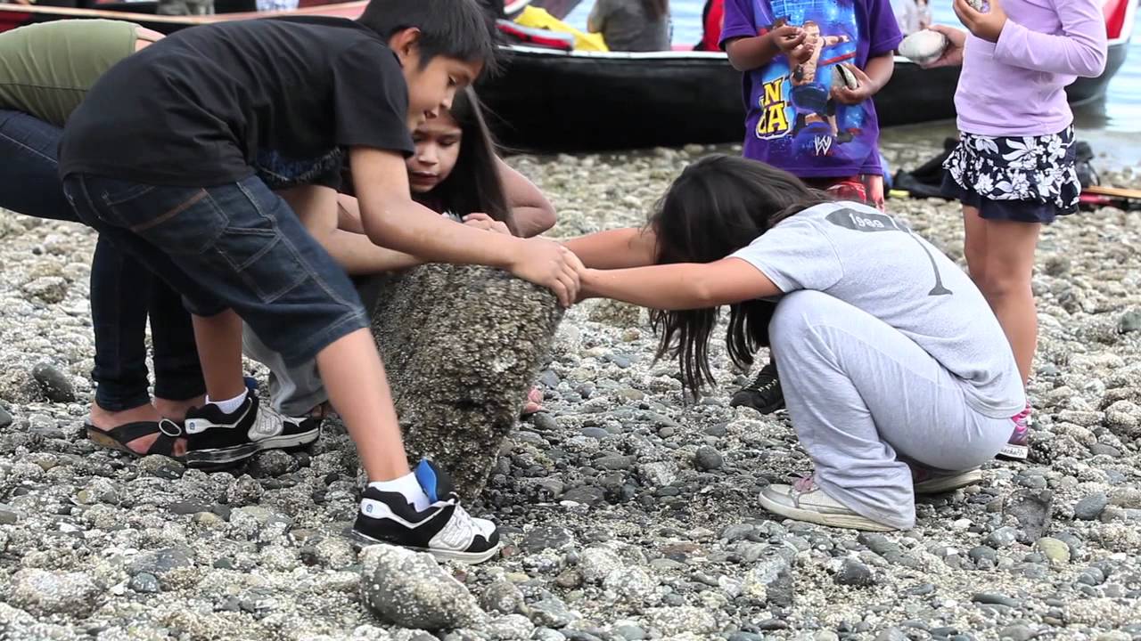Tribal Canoe Journey and Science Connect in Salish Sea