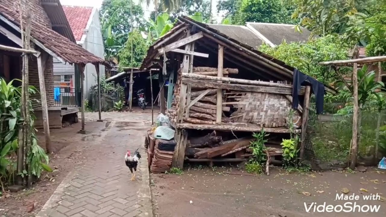 Suasana kp Kadumula pagi Picung Pandeglang Banten