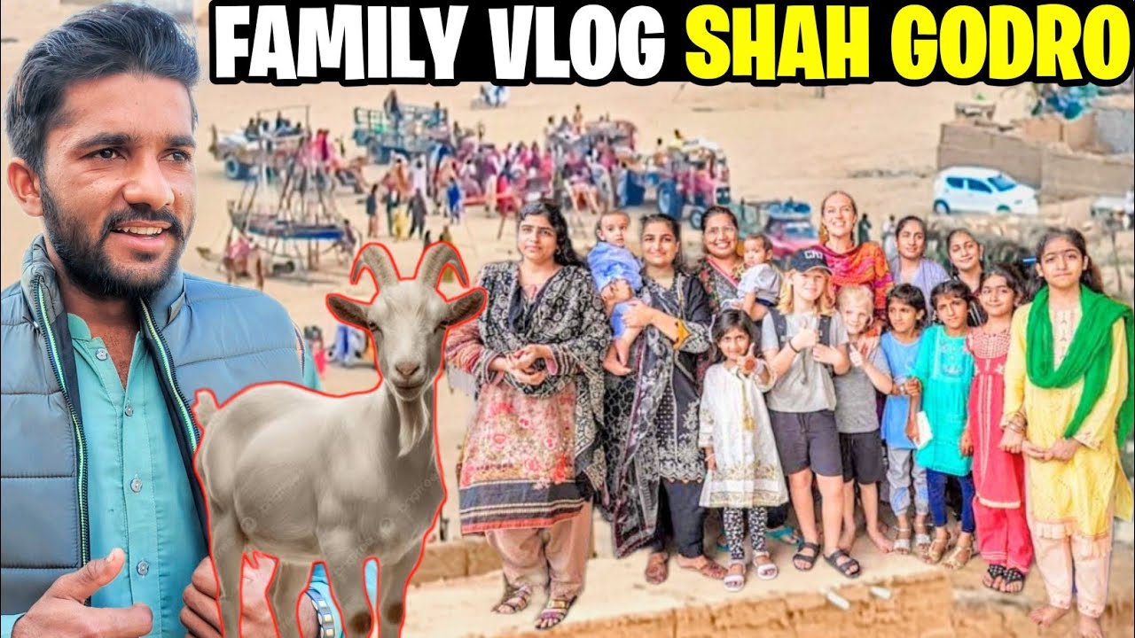Family Vlog Shah Godro 😍 | Mela Ghumne Gaye | Ali's Moments