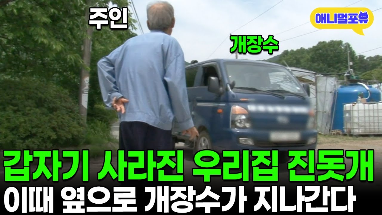 갑자기 사라진 우리집 강아지, 그 순간 옆으로 개장수가 지나간다 I KBS 인간극장 - 60년 만에 다시 만난 첫사랑 2015 방송