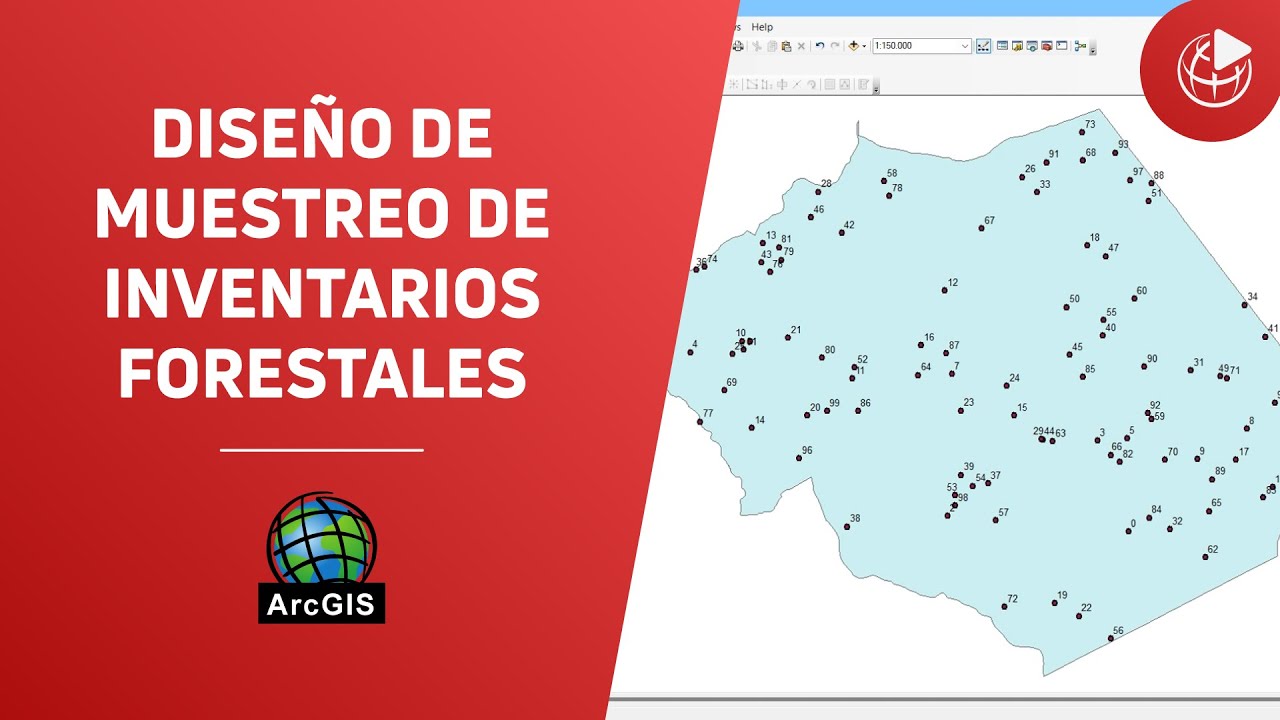Diseño de muestreo de inventarios forestales con ArcGIS 🌳