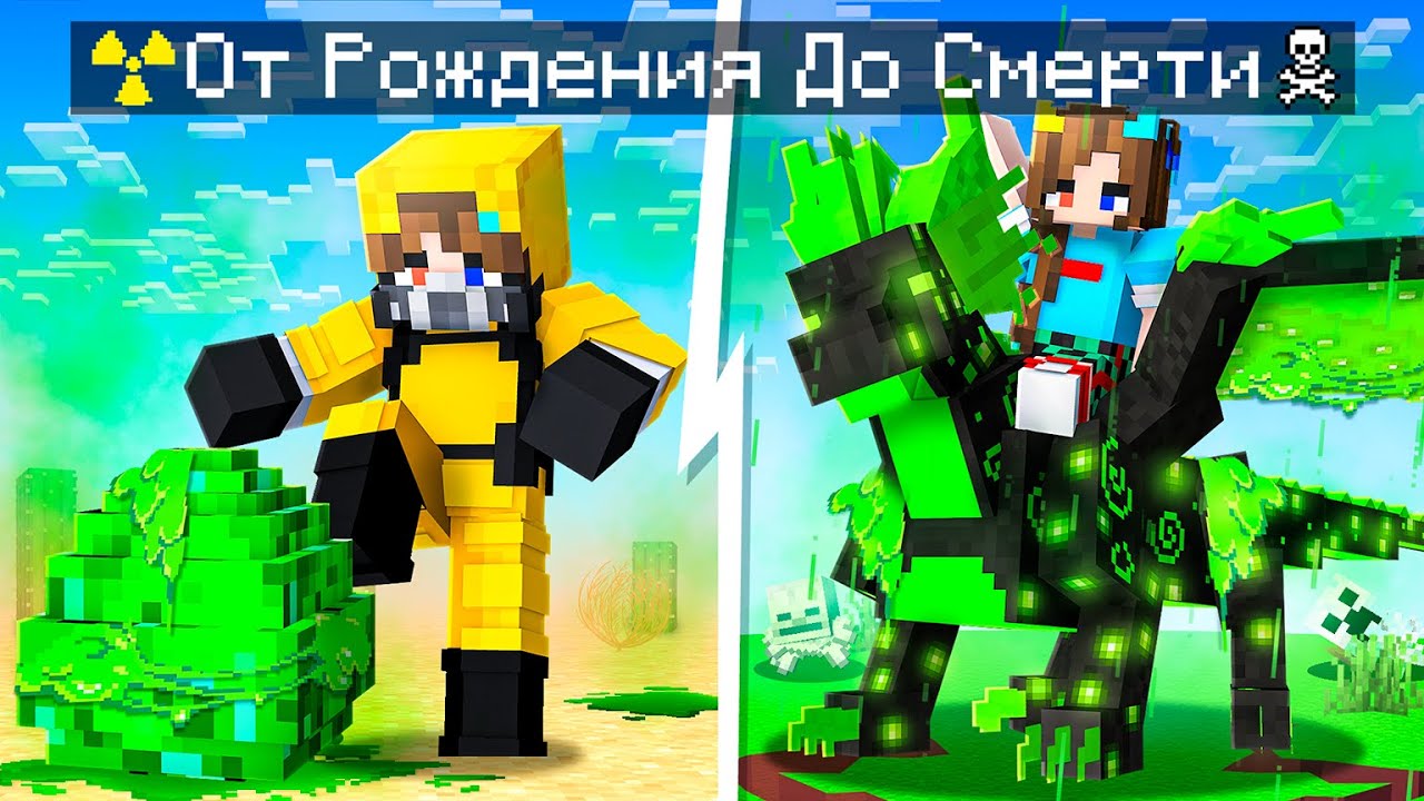 😨 Я Прожил ЖИЗНЬ КИСЛОТНОГО ДРАКОНА от Рождения До Смерти в Майнкрафт!