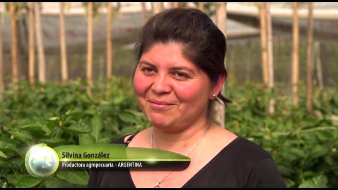 Producir y vivir en el campo