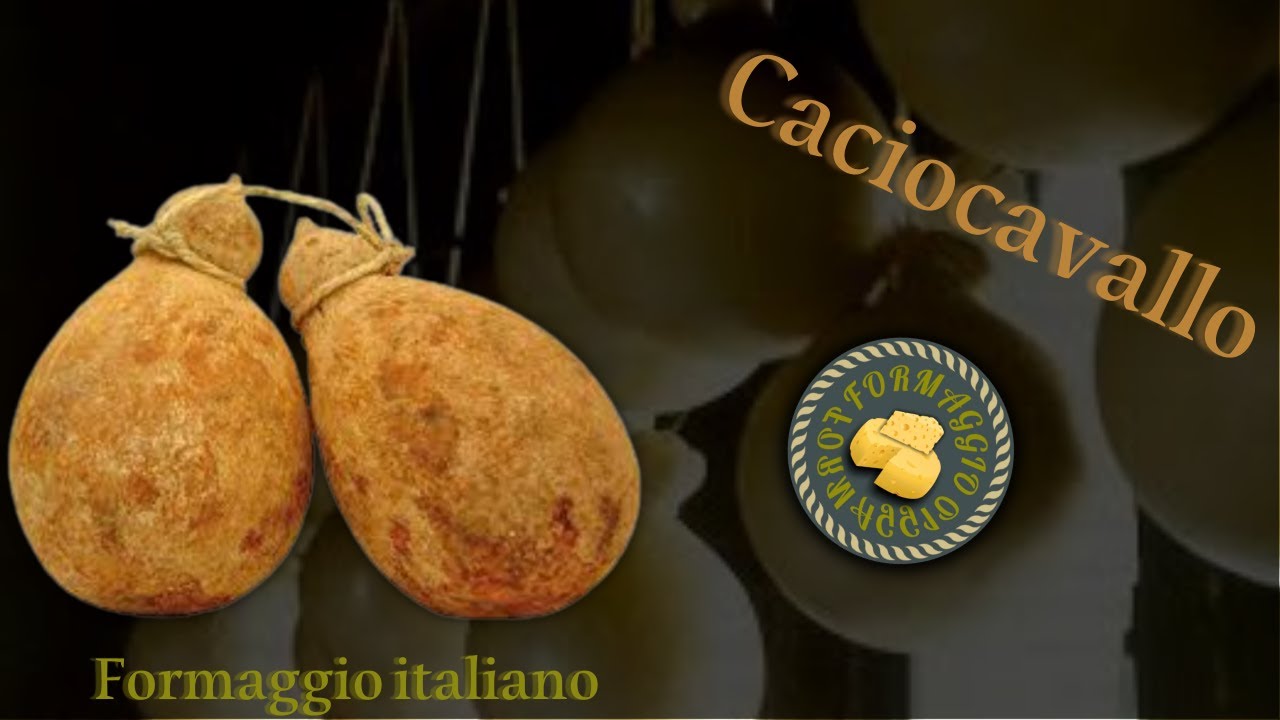 صناعة جبنة كاتشوكفالو  #كيفية_صنع_الجبنة Caciocavallo#
