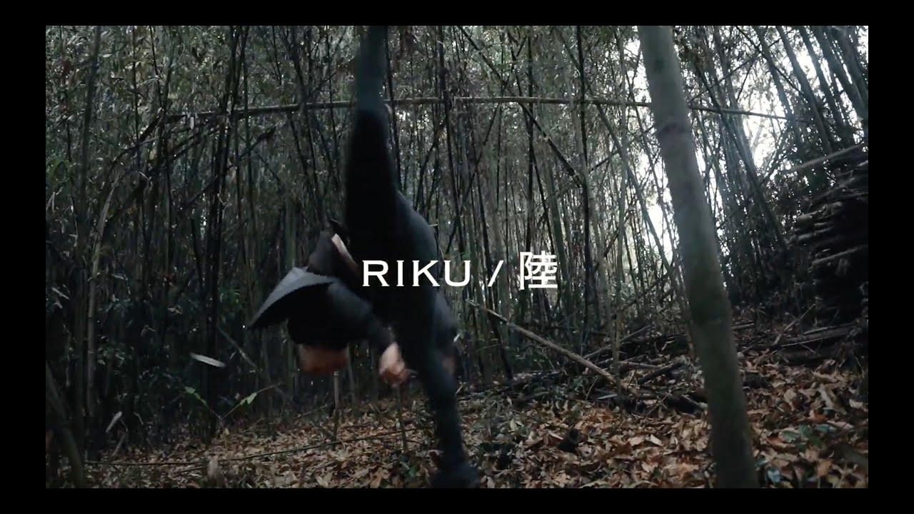 Flowing in the forest