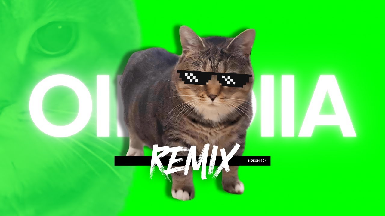 OIIA OIIA Spinning Cat - (NOEGH 404 Remix)