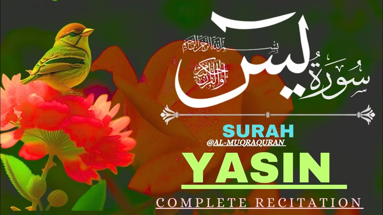 Surah Yaseen | Full Quran Recitation (Episode 78) | Al Muqra | Heart Touching & Peaceful Tilawat