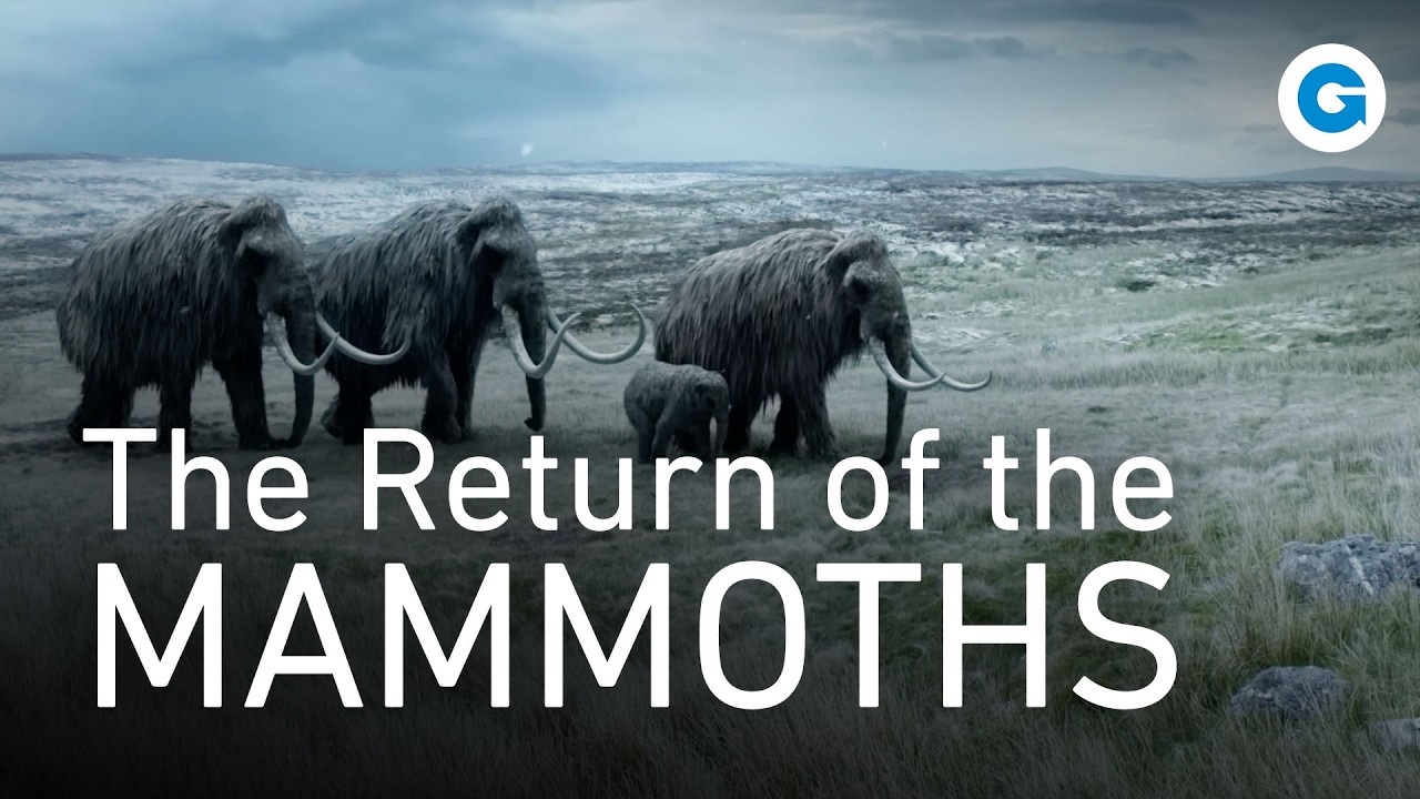 Mammoths Explained: Alpha Females, Teeth Trails and the Great Migration