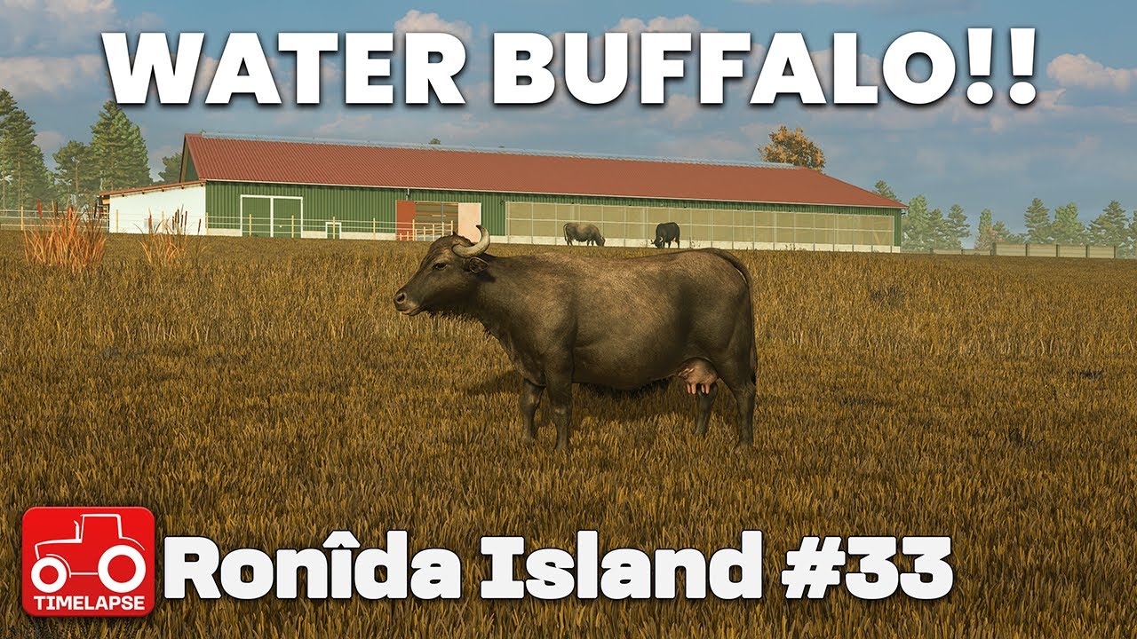 ПРИБЫЛ ПЕРВЫЙ ВОДЯНОЙ БУЙВОЛА!! Остров Ронида FS25 Таймлапс Farming Simulator 25 Эпизод 33