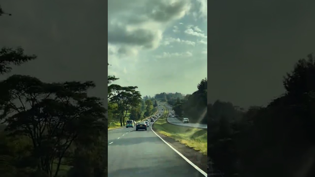Road trip therapy