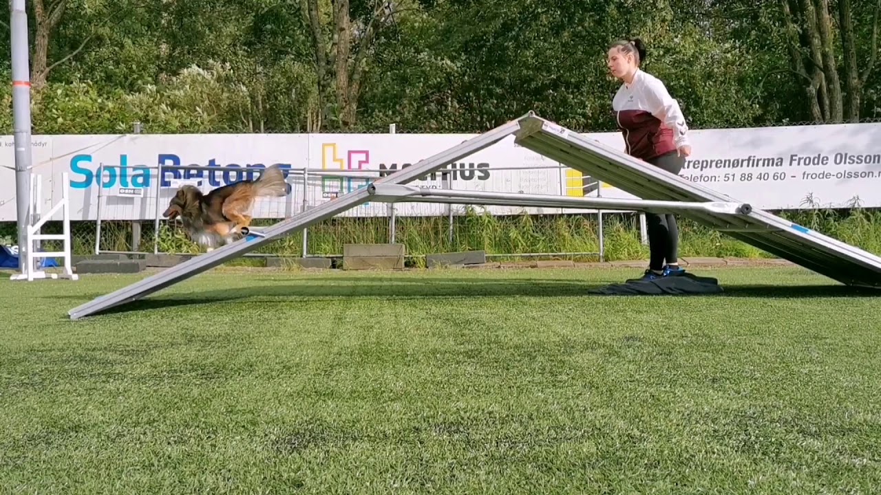 Running A-frame session 3