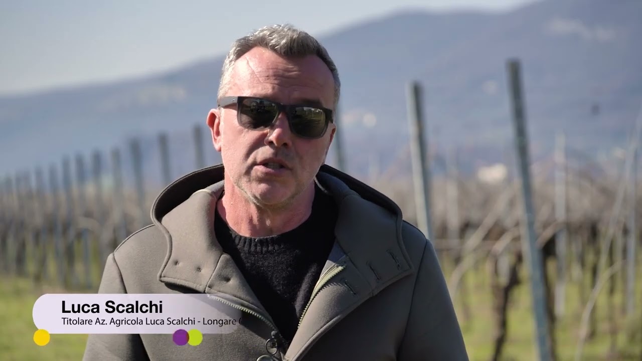 PERGADO: L'efficacia raccontata dai viticoltori