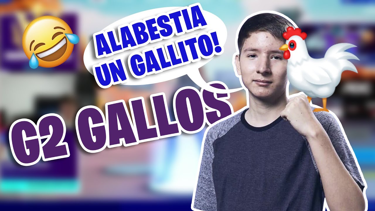 G2 GALLOS (JELTY) TODOS LOS GALLOS DE JELTY 🤣🐓