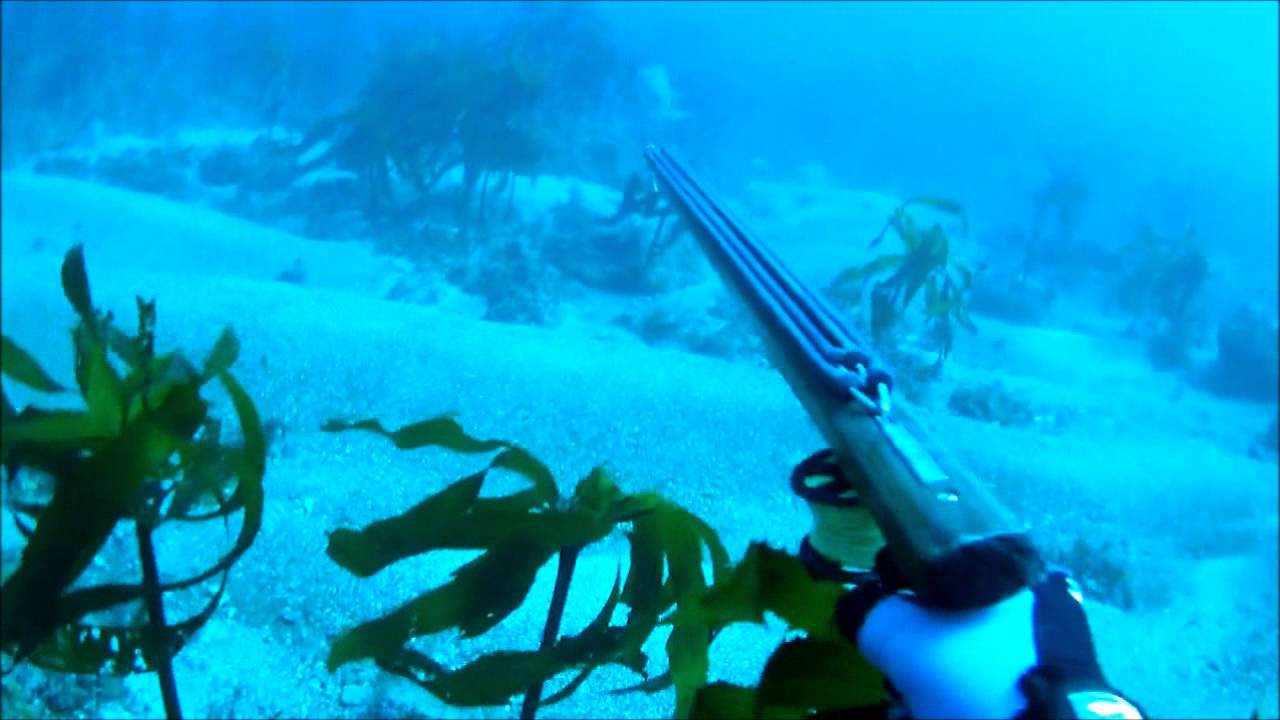 Sea Sniper DiveR Conservation Program Baja