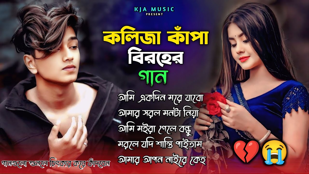 কলিজা কাঁপানো বাছাই করা সব কষ্টের গান😭💔Bangla Top Sad Song-2026।Emon Aslam Audio Album