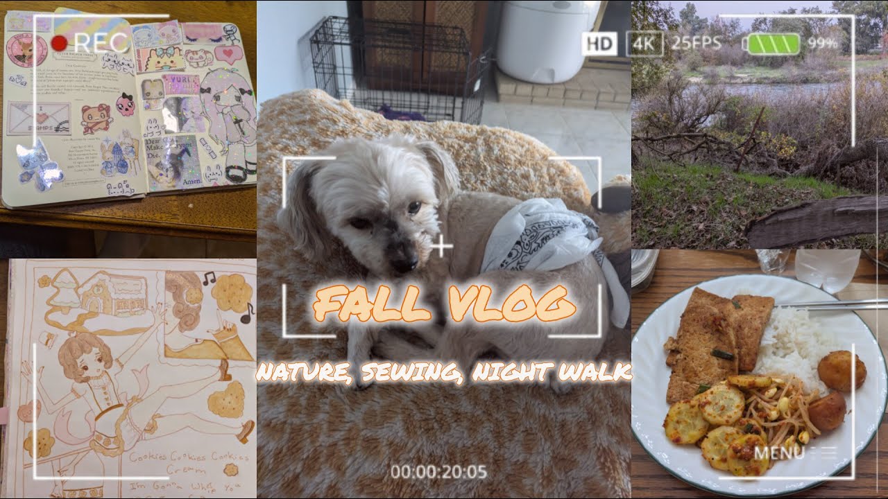 𖤐⭒๋࣭ ⭑Fall vlog･*˚⁺‧͙