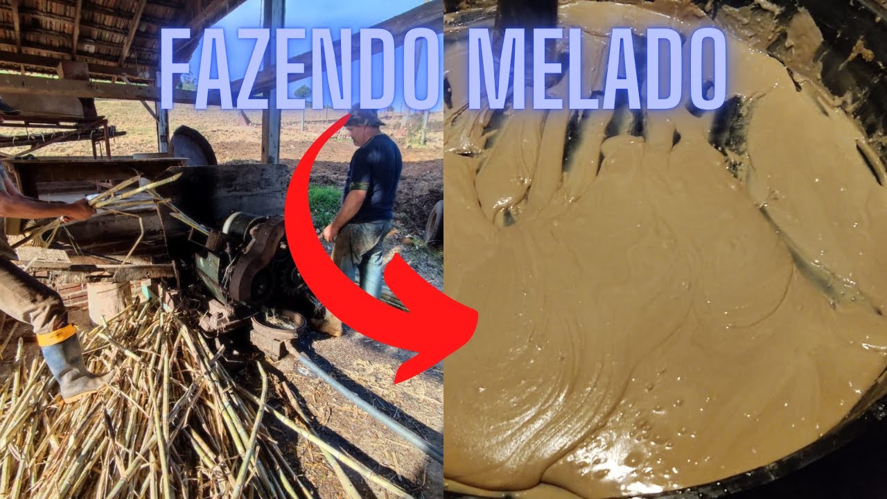 Fazendo Melado