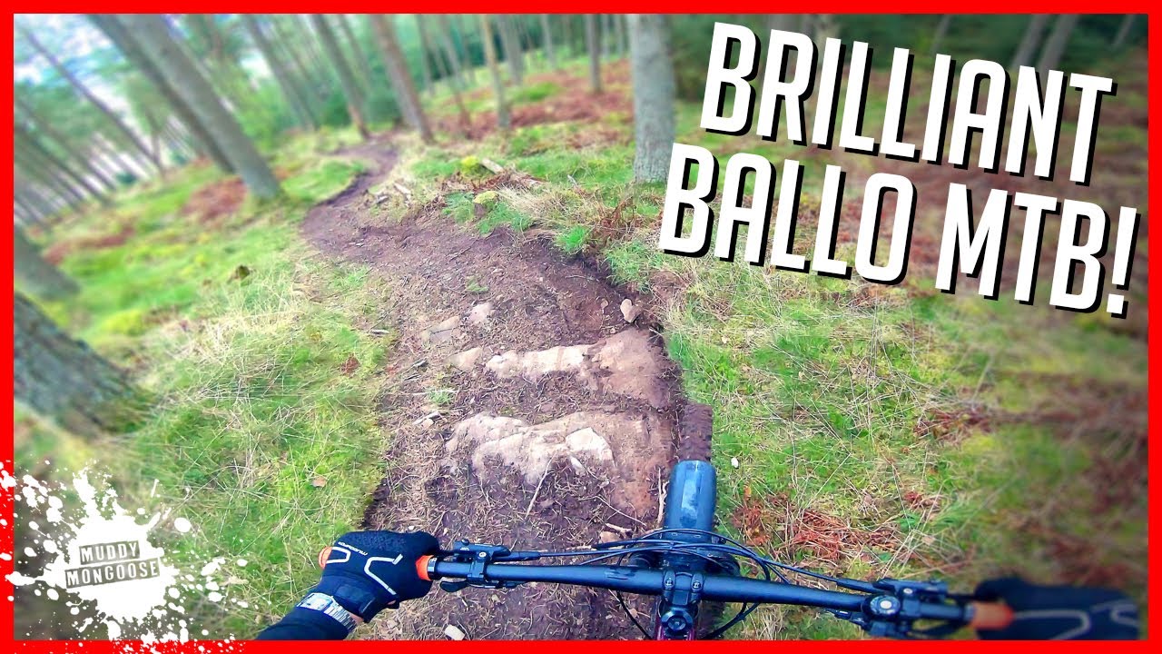 Brilliant Ballo MTB