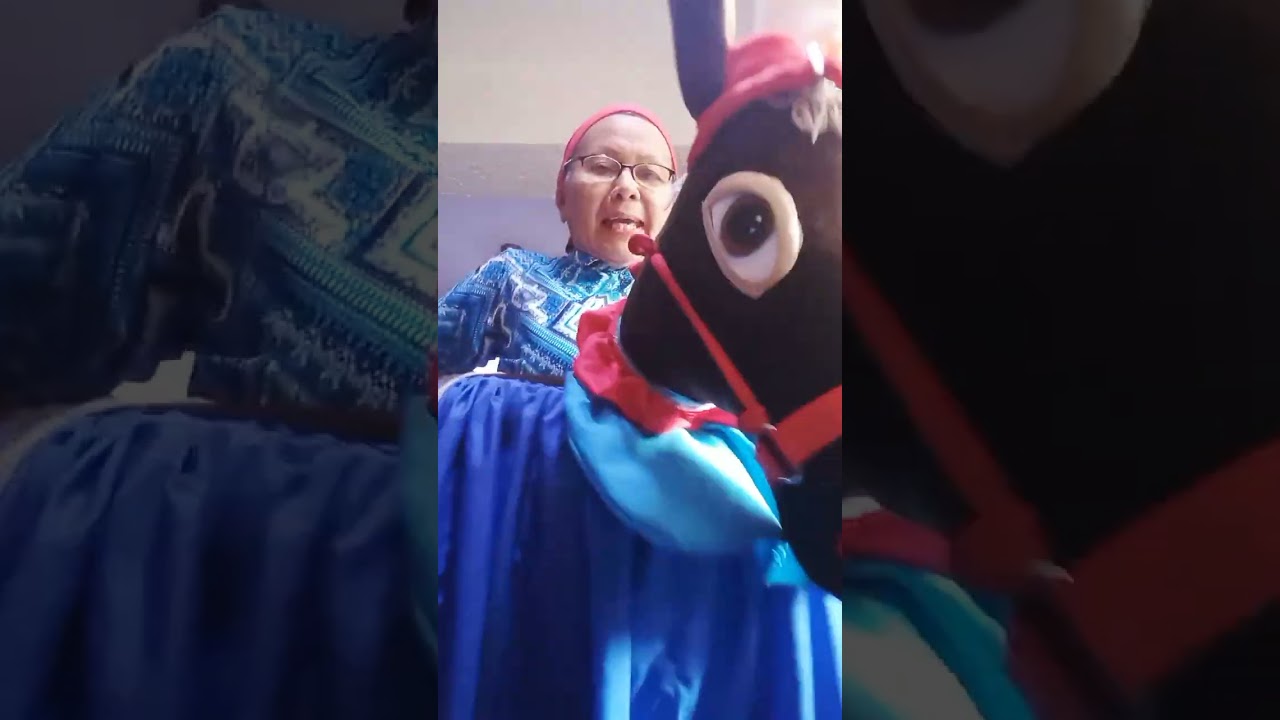 Burriquita con aro de ventilador y almohada de plástica | Carmen Rodríguez
