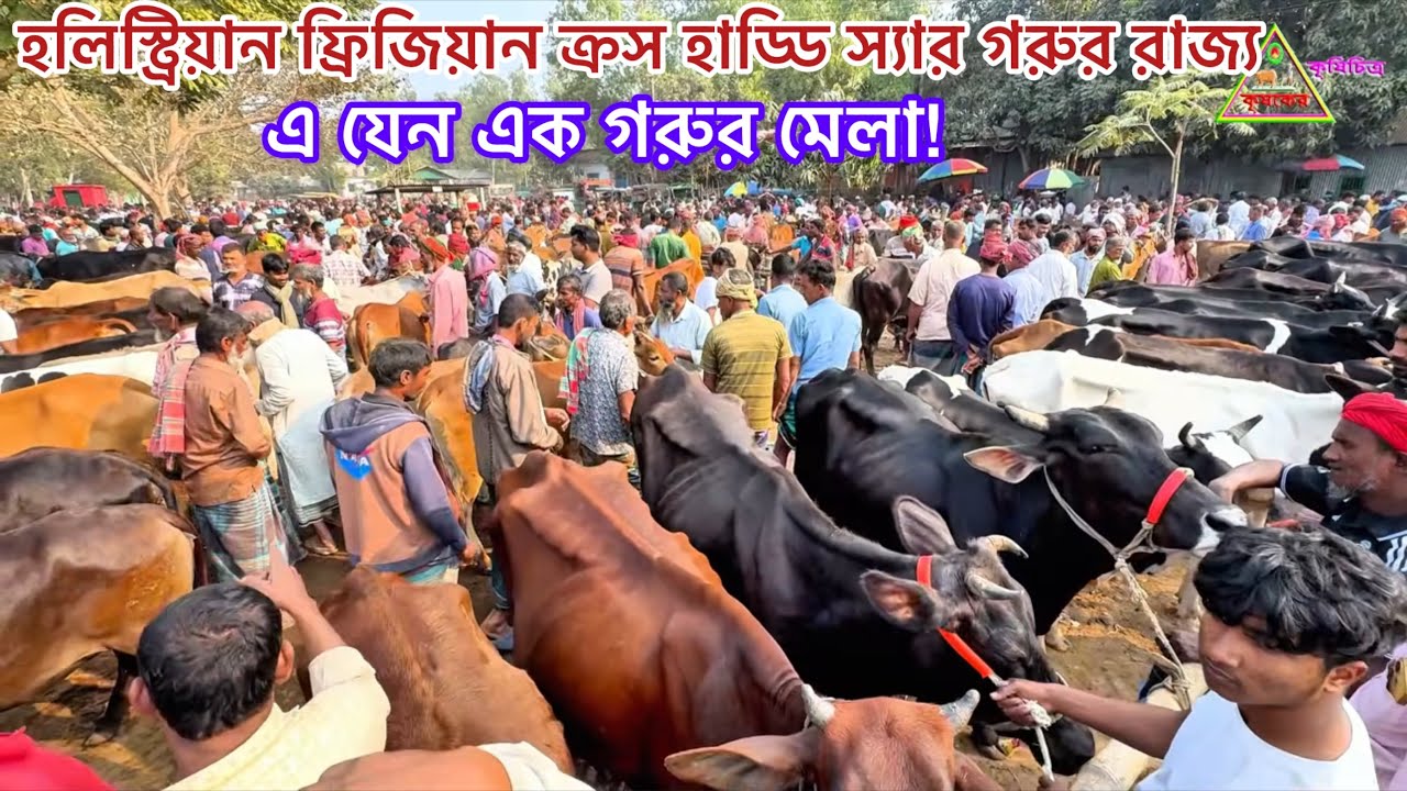 @ ১৭/০২/২৬