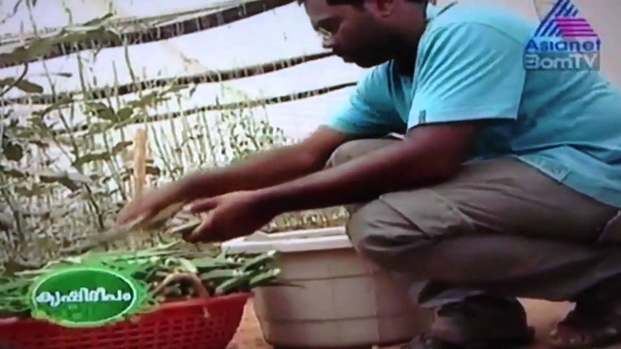 Kissankrishideepam telecast 20/06/12 part 2