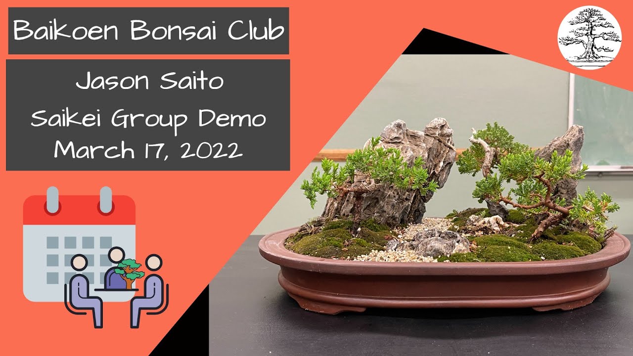 Jason Saito - Saikei Group Demo - March 2022 - Club Meeting - Baikoen Bonsai Club