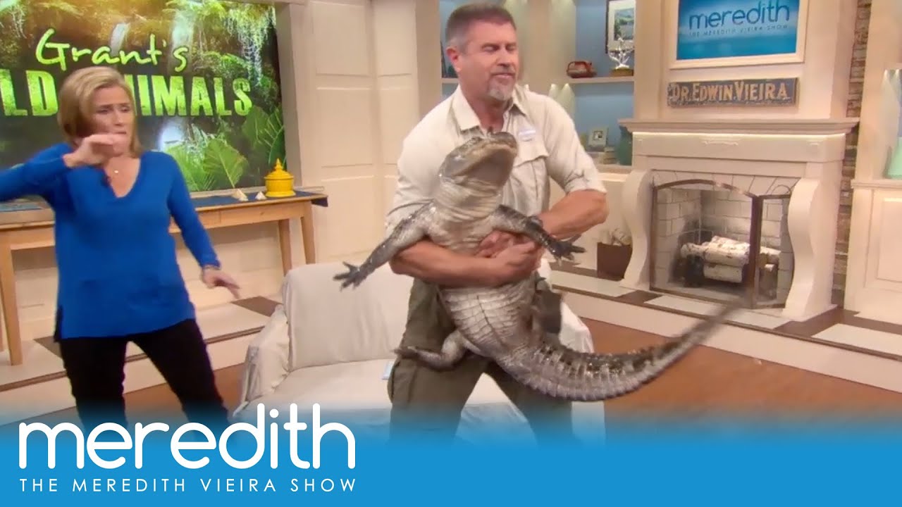 Alligators and Leopard's and Hyena's, Oh My! | The Meredith Vieira Show