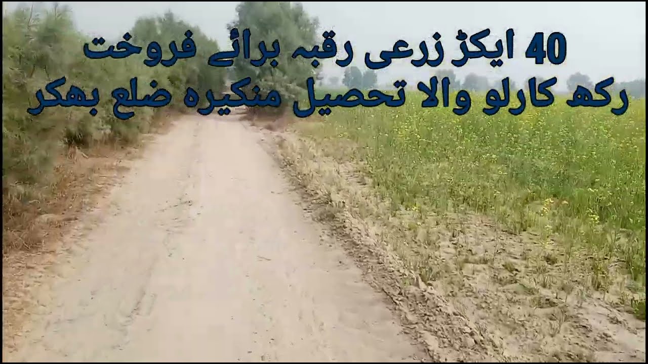 Cheap Agriculture land#Tehsil Mankera District Bhakkar#Asmat Ullah Awan